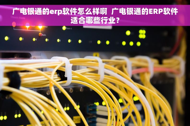 广电银通的erp软件怎么样啊  广电银通的ERP软件适合哪些行业？
