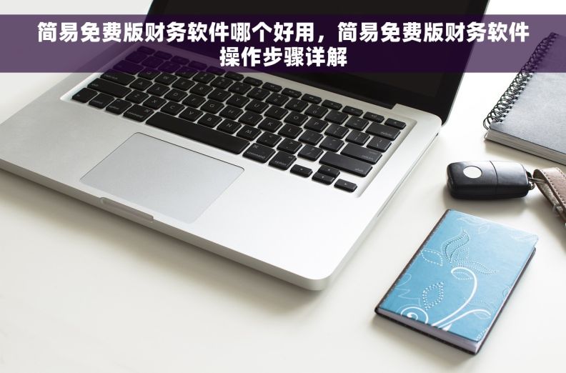 简易免费版财务软件哪个好用，简易免费版财务软件操作步骤详解