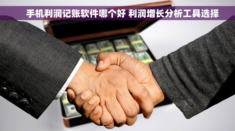     手机利润记账软件哪个好 利润增长分析工具选择