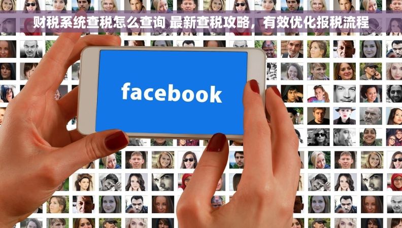 财税系统查税怎么查询 最新查税攻略，有效优化报税流程