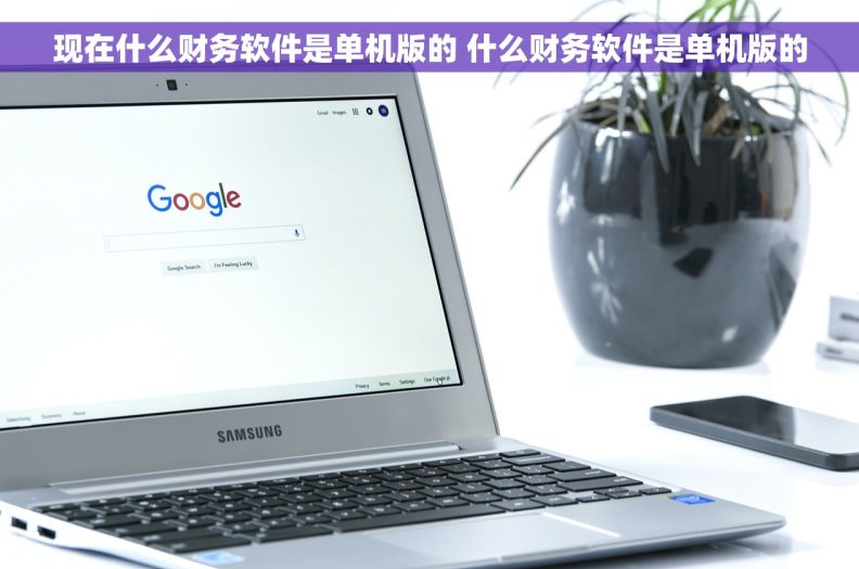 现在什么财务软件是单机版的 什么财务软件是单机版的