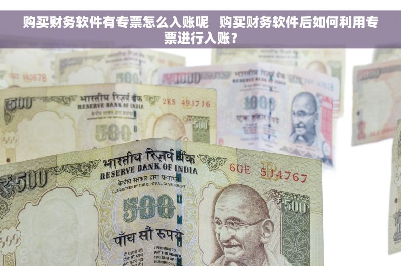 购买财务软件有专票怎么入账呢   购买财务软件后如何利用专票进行入账？