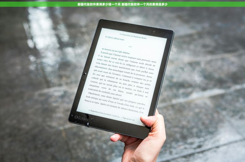 新疆代账软件费用多少钱一个月 新疆代账软件一个月的费用是多少