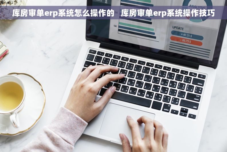 库房审单erp系统怎么操作的   库房审单erp系统操作技巧