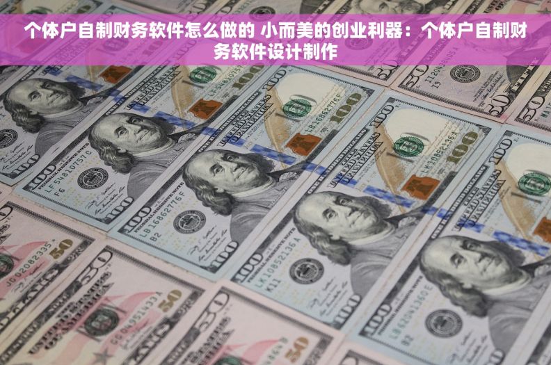个体户自制财务软件怎么做的 小而美的创业利器：个体户自制财务软件设计制作