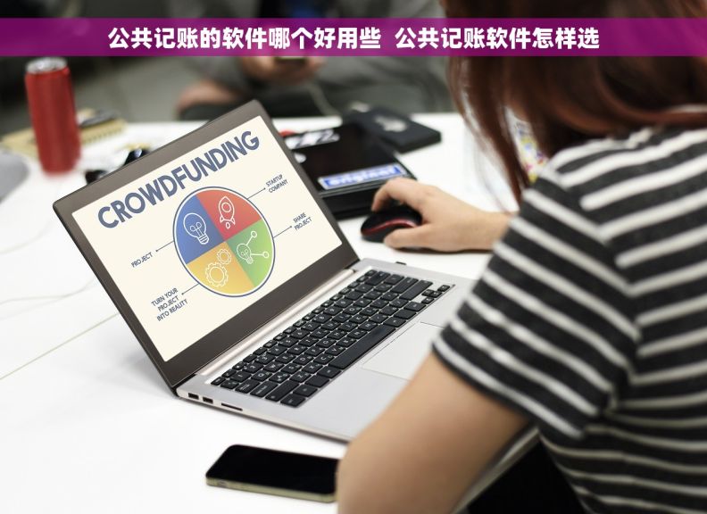 公共记账的软件哪个好用些  公共记账软件怎样选