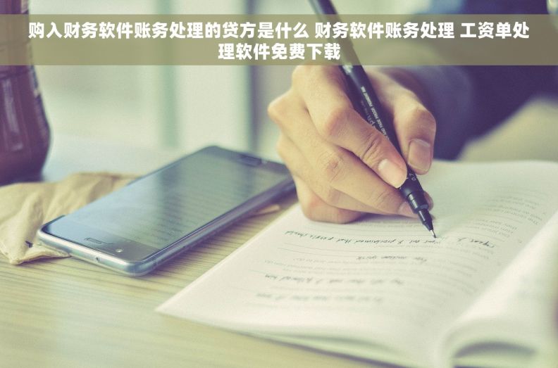 购入财务软件账务处理的贷方是什么 财务软件账务处理 工资单处理软件免费下载