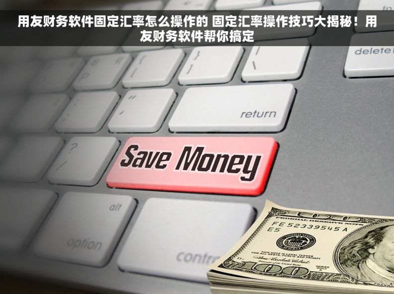 用友财务软件固定汇率怎么操作的 固定汇率操作技巧大揭秘！用友财务软件帮你搞定