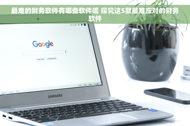 最难的财务软件有哪些软件呢 探究这5款最难应对的财务软件