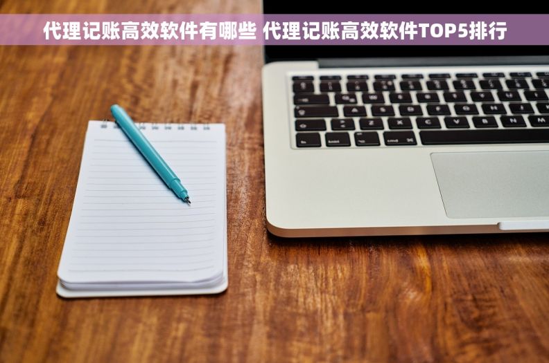 代理记账高效软件有哪些 代理记账高效软件TOP5排行