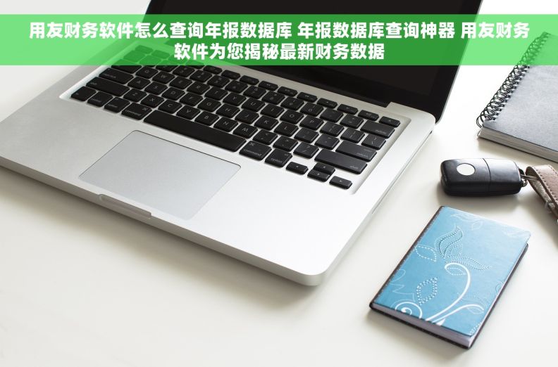 用友财务软件怎么查询年报数据库 年报数据库查询神器 用友财务软件为您揭秘最新财务数据