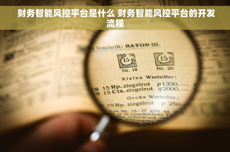  财务智能风控平台是什么 财务智能风控平台的开发流程