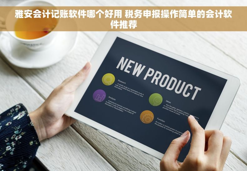 雅安会计记账软件哪个好用 税务申报操作简单的会计软件推荐
