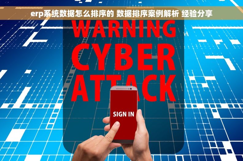 erp系统数据怎么排序的 数据排序案例解析 经验分享