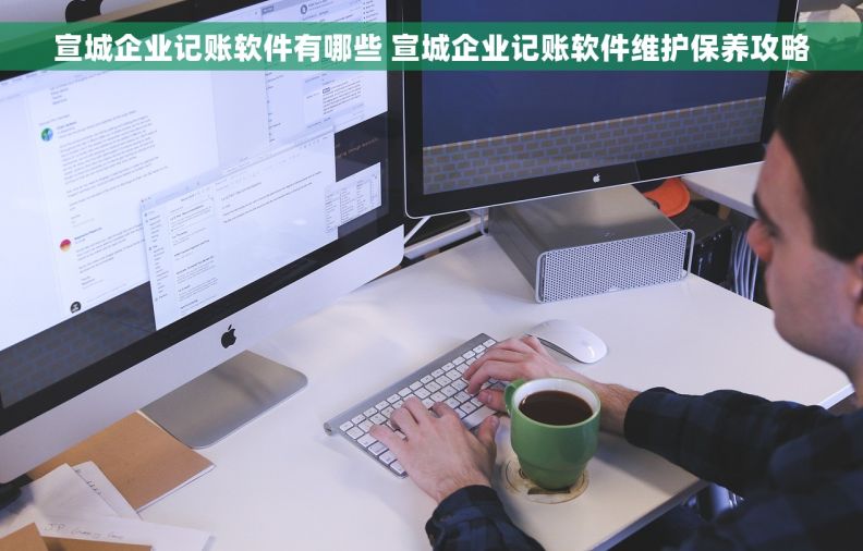 宣城企业记账软件有哪些 宣城企业记账软件维护保养攻略