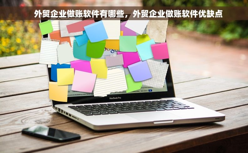     外贸企业做账软件有哪些，外贸企业做账软件优缺点