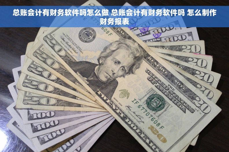 总账会计有财务软件吗怎么做 总账会计有财务软件吗 怎么制作财务报表