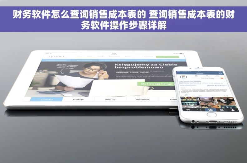 财务软件怎么查询销售成本表的 查询销售成本表的财务软件操作步骤详解