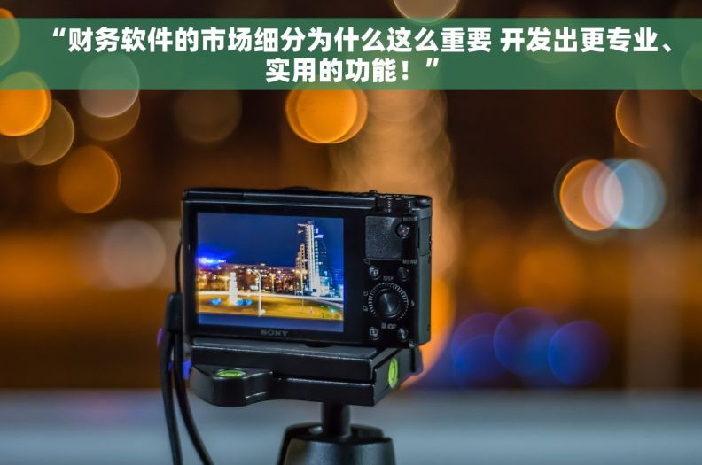 “财务软件的市场细分为什么这么重要 开发出更专业、实用的功能！”