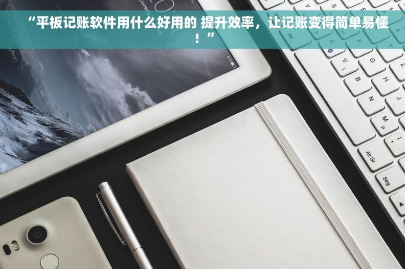 “平板记账软件用什么好用的 提升效率，让记账变得简单易懂！”
