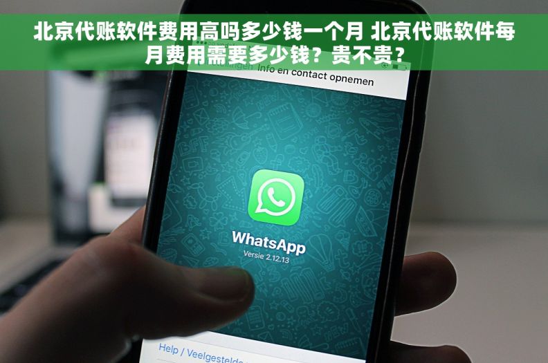 北京代账软件费用高吗多少钱一个月 北京代账软件每月费用需要多少钱？贵不贵？