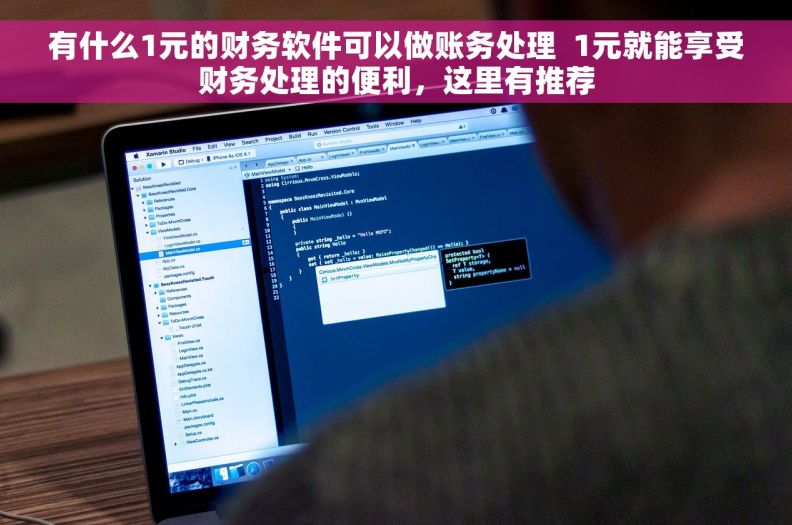 有什么1元的财务软件可以做账务处理  1元就能享受财务处理的便利，这里有推荐