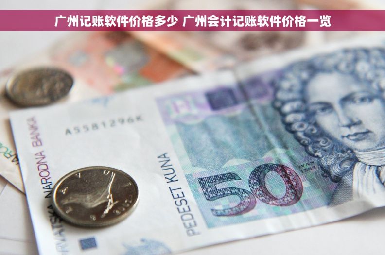 广州记账软件价格多少 广州会计记账软件价格一览