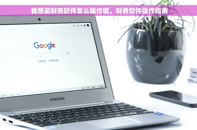  我想买财务软件怎么操作呢，财务软件操作指南