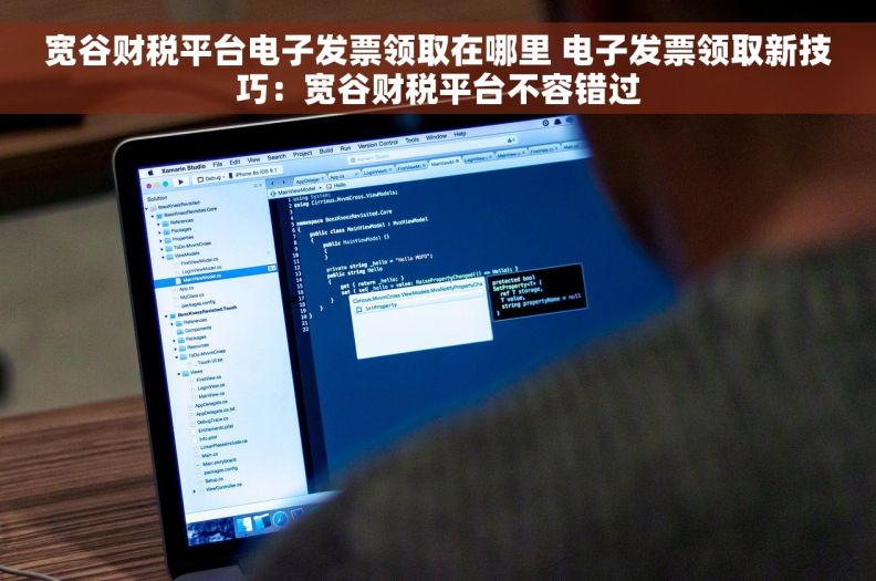 宽谷财税平台电子发票领取在哪里 电子发票领取新技巧：宽谷财税平台不容错过