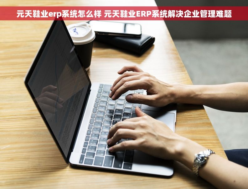 元天鞋业erp系统怎么样 元天鞋业ERP系统解决企业管理难题