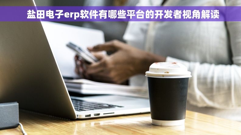   盐田电子erp软件有哪些平台的开发者视角解读