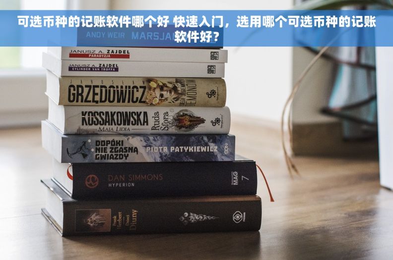 可选币种的记账软件哪个好 快速入门，选用哪个可选币种的记账软件好？