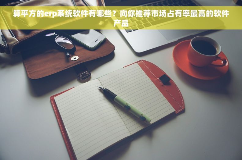 算平方的erp系统软件有哪些？向你推荐市场占有率最高的软件产品