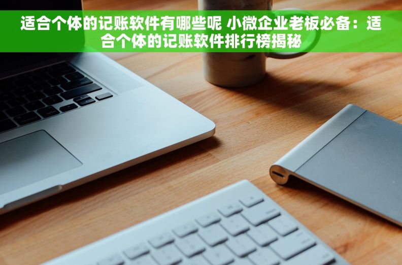 适合个体的记账软件有哪些呢 小微企业老板必备：适合个体的记账软件排行榜揭秘
