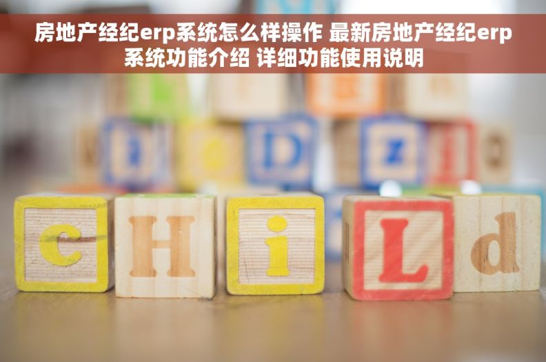 房地产经纪erp系统怎么样操作 最新房地产经纪erp系统功能介绍 详细功能使用说明