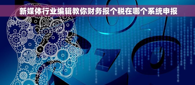  新媒体行业编辑教你财务报个税在哪个系统申报