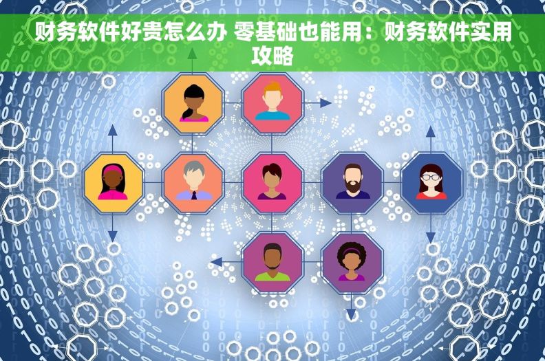财务软件好贵怎么办 零基础也能用：财务软件实用攻略