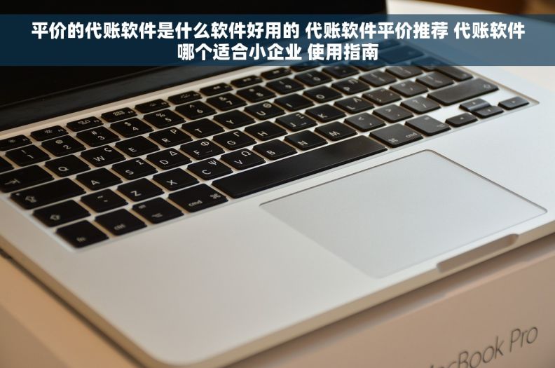 平价的代账软件是什么软件好用的 代账软件平价推荐 代账软件哪个适合小企业 使用指南