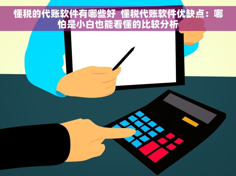 懂税的代账软件有哪些好  懂税代账软件优缺点：哪怕是小白也能看懂的比较分析