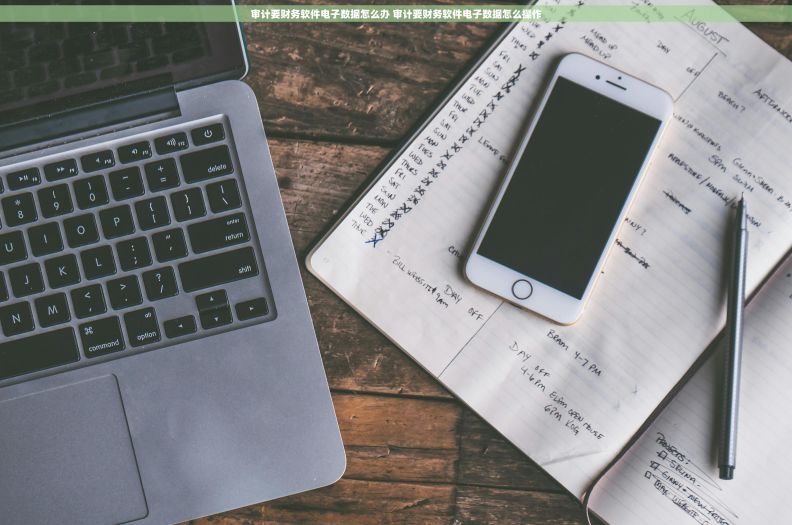 审计要财务软件电子数据怎么办 审计要财务软件电子数据怎么操作