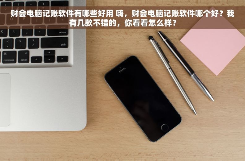 财会电脑记账软件有哪些好用 嗨，财会电脑记账软件哪个好？我有几款不错的，你看看怎么样？