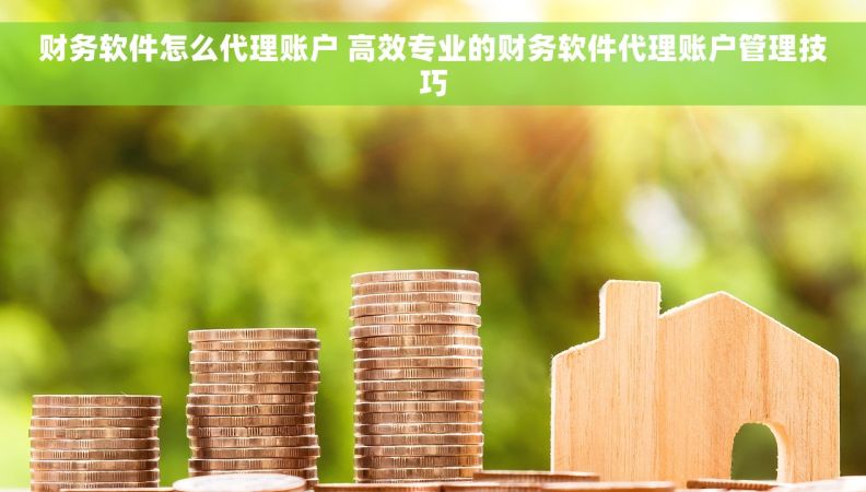 财务软件怎么代理账户 高效专业的财务软件代理账户管理技巧