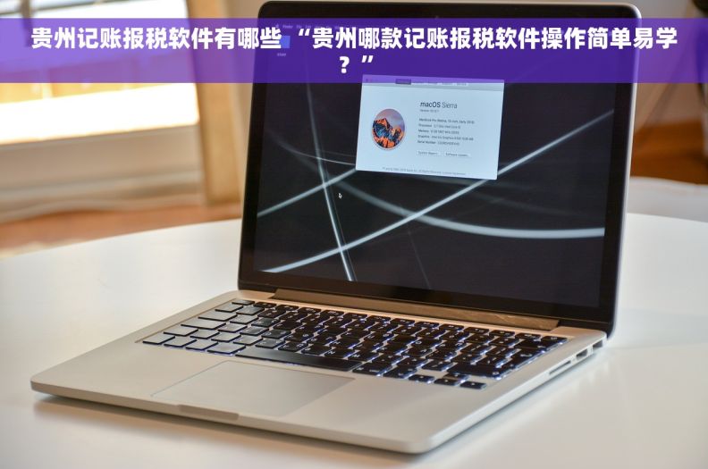 贵州记账报税软件有哪些 “贵州哪款记账报税软件操作简单易学？”