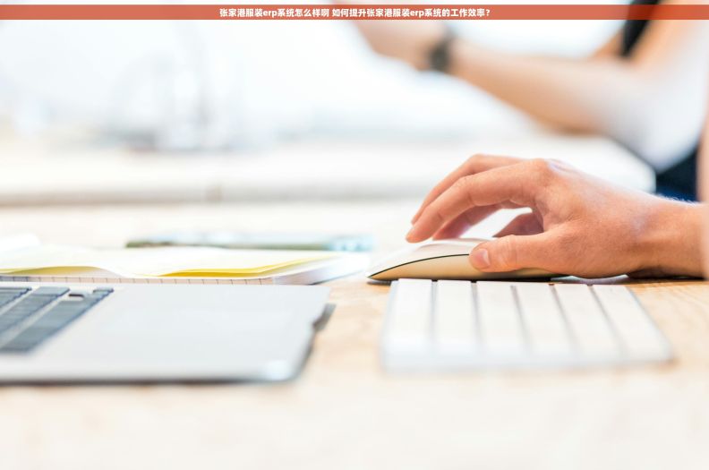 张家港服装erp系统怎么样啊 如何提升张家港服装erp系统的工作效率？