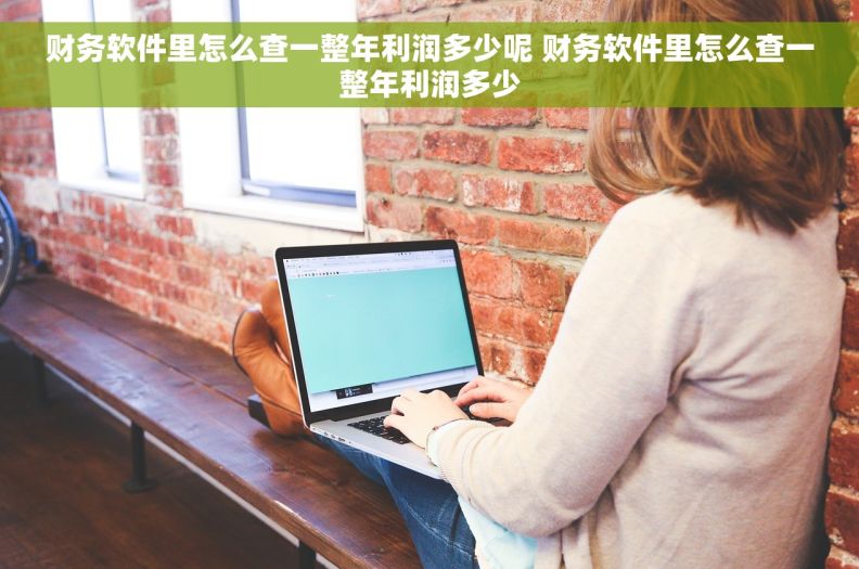 财务软件里怎么查一整年利润多少呢 财务软件里怎么查一整年利润多少