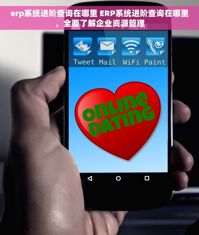 erp系统进阶查询在哪里 ERP系统进阶查询在哪里，全面了解企业资源管理