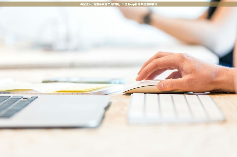  小企业erp管理系统哪个更好用，小企业erp管理系统选购指南