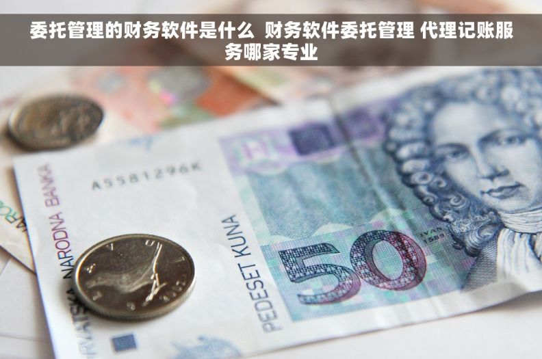 委托管理的财务软件是什么  财务软件委托管理 代理记账服务哪家专业