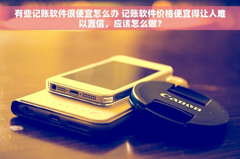 有些记账软件很便宜怎么办 记账软件价格便宜得让人难以置信，应该怎么做？