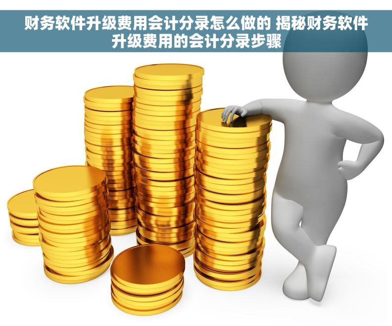 财务软件升级费用会计分录怎么做的 揭秘财务软件升级费用的会计分录步骤